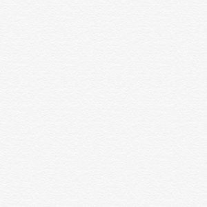 Meet your Posher, Ally